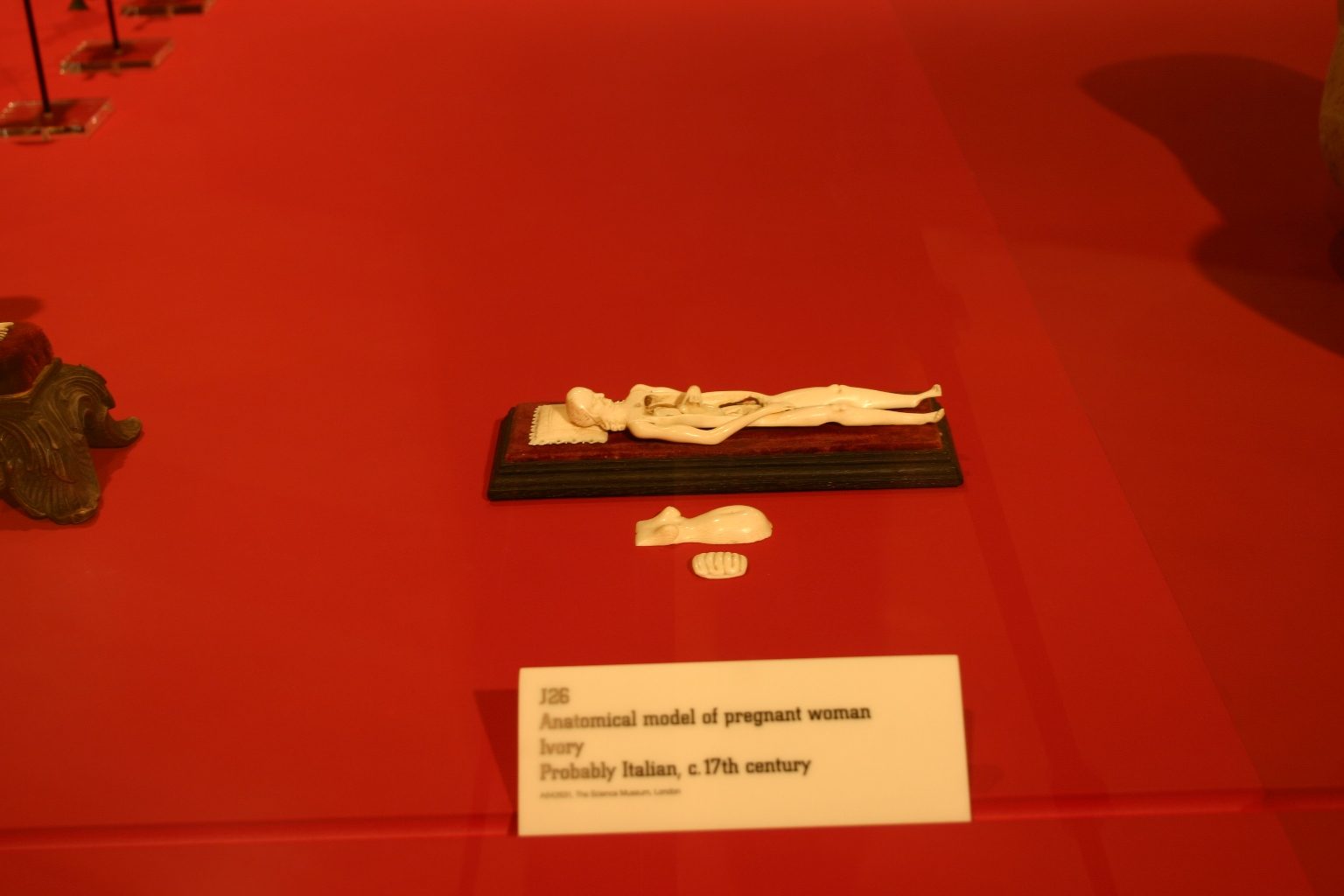 Anatomical model of a pregnant woamn, Medicine Man, The Wellcome Building, London - 01.JPG